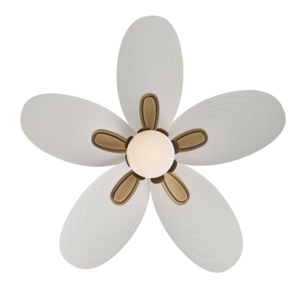 Saltcress - LED 60" Ceiling Fan - Image 3